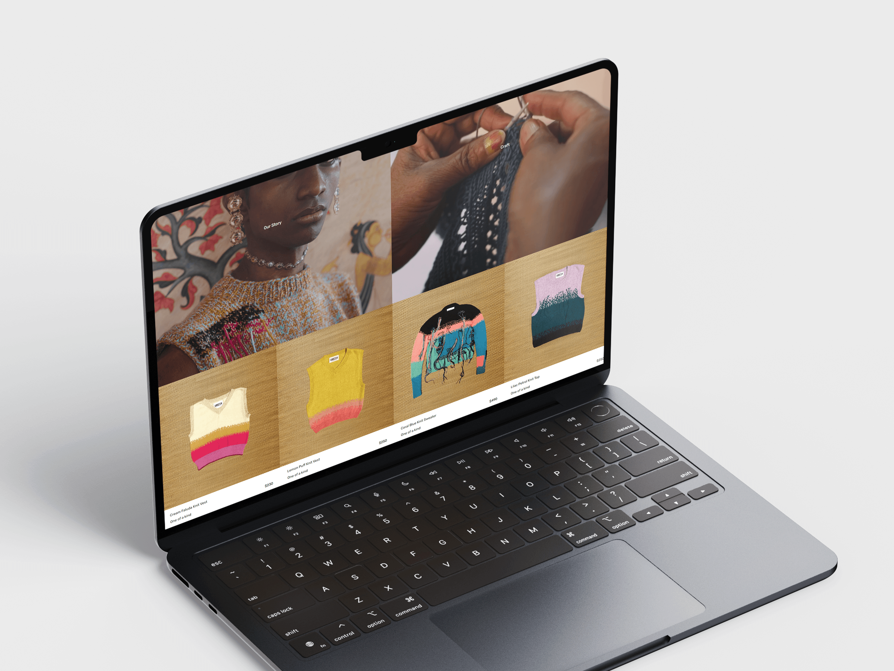 Developed the Amesh Studios Fashion Website, Enhancing Online Shopping Experience