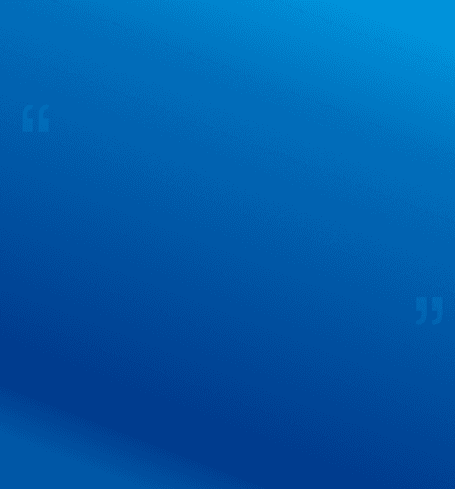 Bento box 5 background